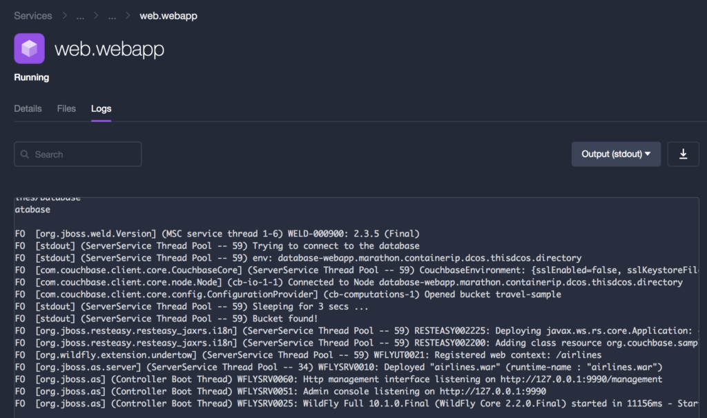 DC/OS Cluster WildFly Output