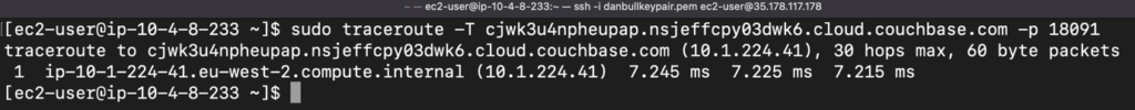 Test connection to Couchbase with traceroute