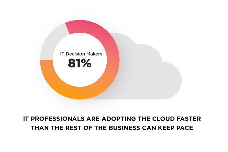 IT professionals cloud adoption