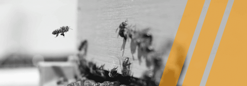 High Availability vs. Fault Tolerance: Key Differences