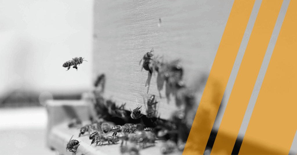High Availability vs. Fault Tolerance: Key Differences