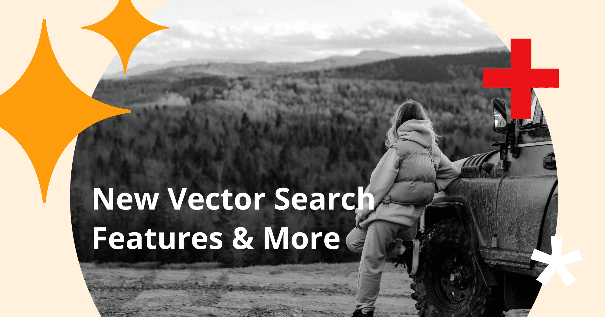 Announcing Vector Search and a Whole Lot More!