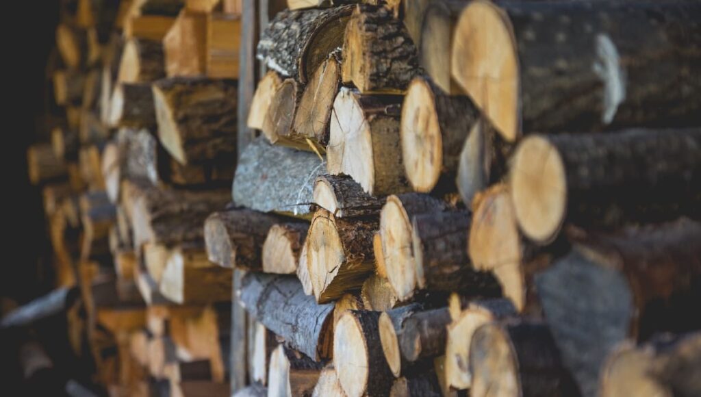 Using Fluent Bit for Log Forwarding & Processing with Couchbase Server