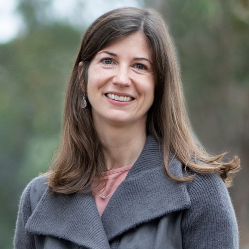 Julie Irish