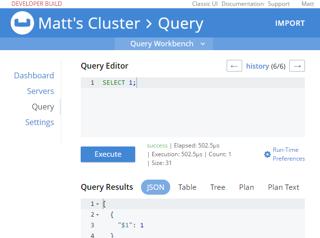 Execute SELECT query logged in with only Query authorization