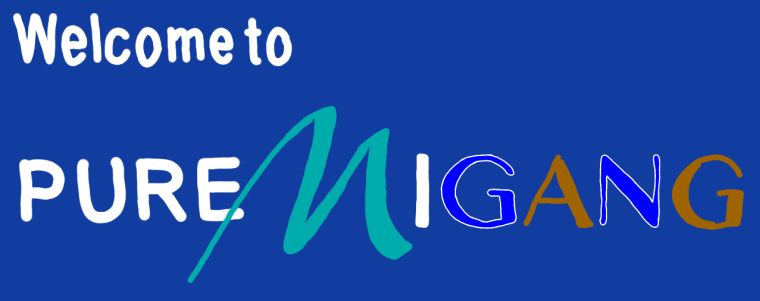 Great Lakes Area .NET Michigan user groups